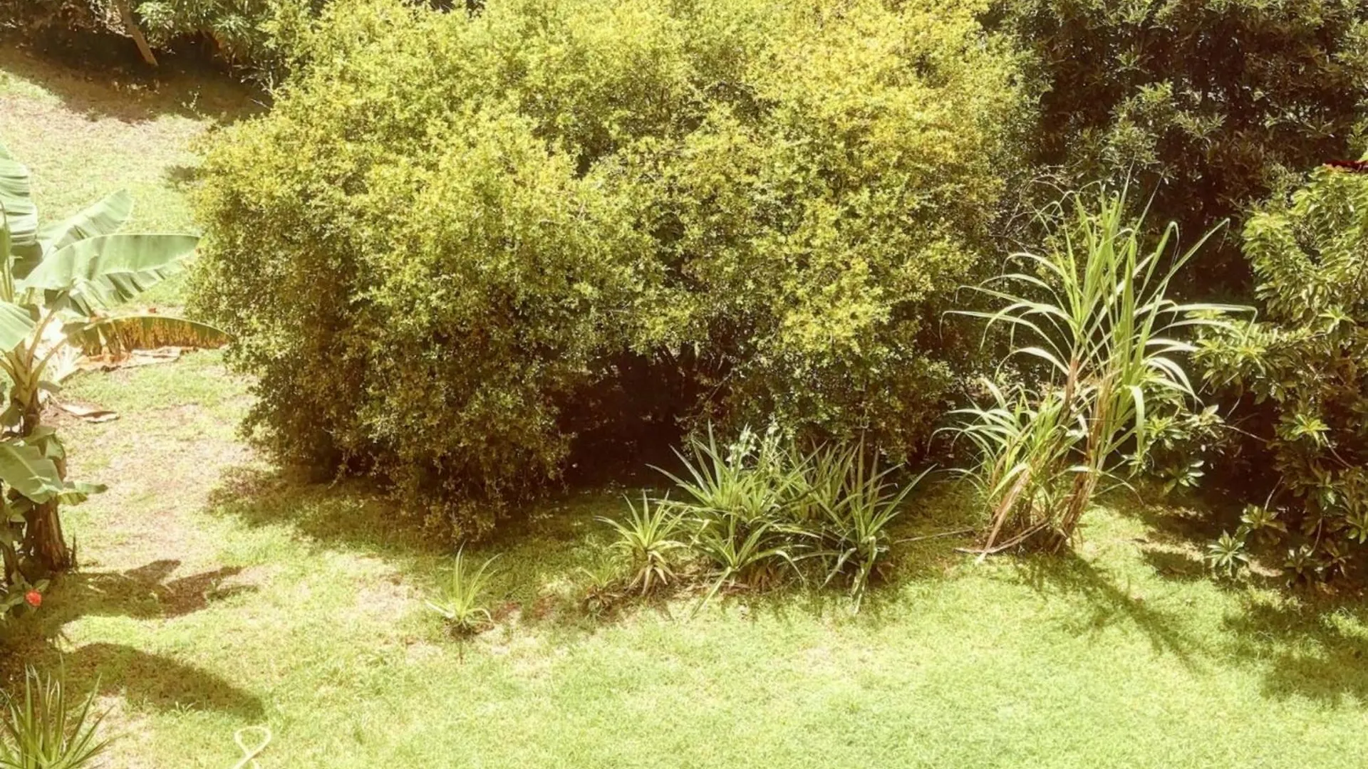 Appartement Agreable A La Trinite 95 M² Vue Sur Le Jardin Apartment